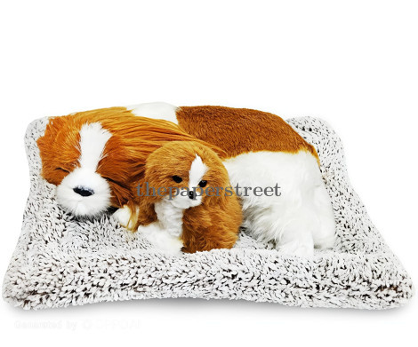 Sleeping Dog with Puppy