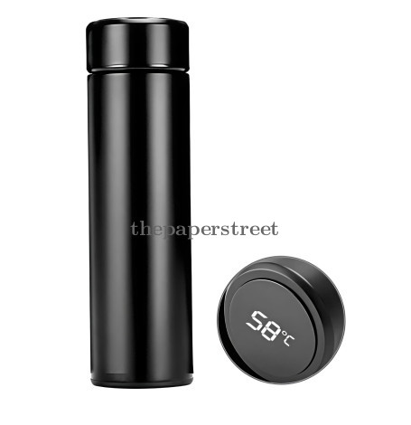 Water Bottle with LED Temperature