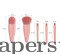 Makeup Brush Set