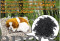 Sleeping Dog Large