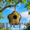 Handmade Bird House