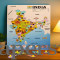 India Map Wooden Puzzle