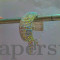 Full Rhinestone Sparkle Bangles