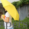 Banana Umbrella