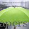 Wine Bottle Umbrella