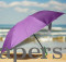 Vegetable Shaped Umbrella