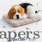Sleeping Dog Mini