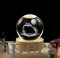 Dolphin Crystal Ball