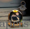 Dolphin Crystal Ball