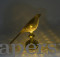 Sparrow Table Lamp