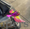 Wind Flying Bird